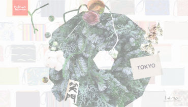 Little TAO | Newsletter #10　Little Forest | Lotus flower x Tokyo Pouch